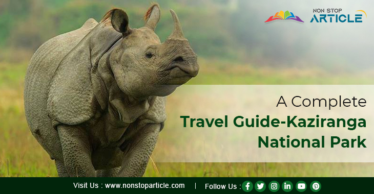 A Complete Travel Guide-Kaziranga National Park